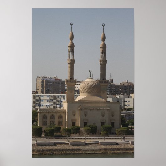 エジプトの海岸の表示 ポスター (正面)