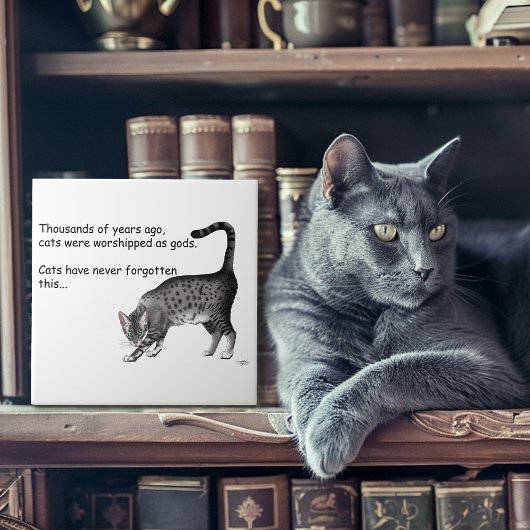 エジプトの灰色のタビー猫 タイル