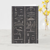 エジプトの絵文字グリーティングカード カード (黄色い花)