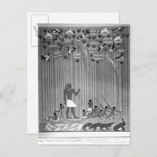 エジプトの色彩の鮮やかレリーフ、 浮き彫りの魚釣り ポストカード (正面/裏面)