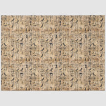 エジプトの象形文字 鳥の模様 2