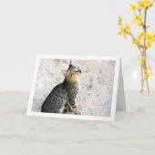 エジプトの野生の子猫 カード (黄色い花)