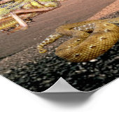 エジプトの10の災害 – 英語とヘブライ語 ポスター (角)