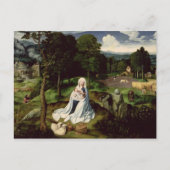 エジプトへの飛行中 ポストカード (正面)