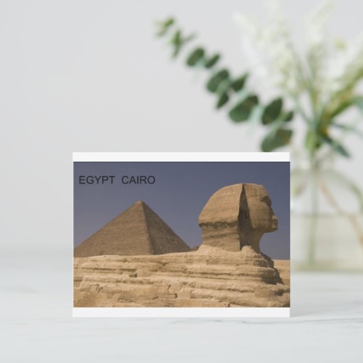 エジプトカイロギーザのスフィンクス(St.K) ポストカード (スタンド正面)