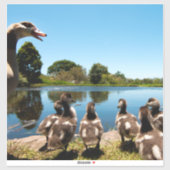 エジプトゲーゼ シール (シート)