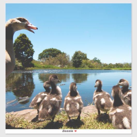 エジプトゲーゼ シール (シート)