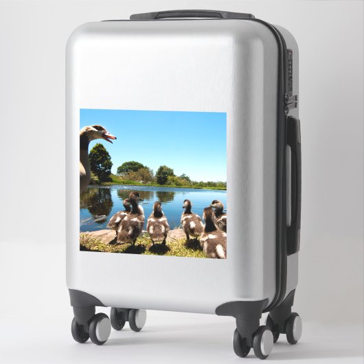 エジプトゲーゼ シール (スーツケース)