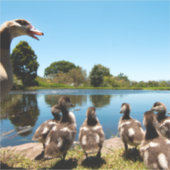 エジプトゲーゼ シール (正面)