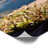 エジプトゲーゼ ポスター (角)