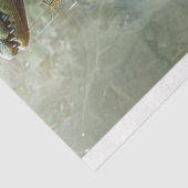 エジプトスタイルアリゲーターデコページ 薄葉紙 (詳細)