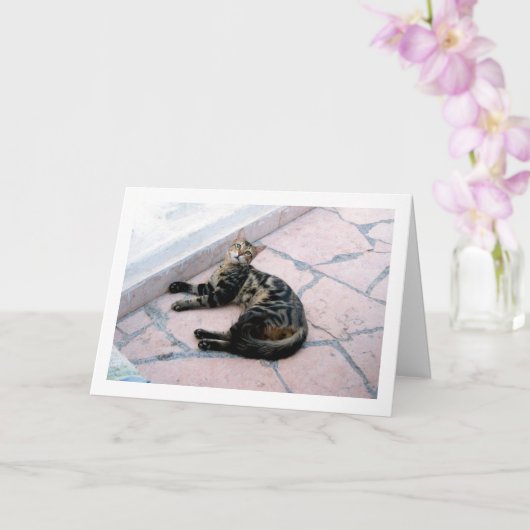 エジプトヤマネコ カード (蘭)