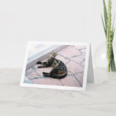 エジプトヤマネコ カード (正面)