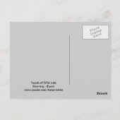 エジプトンマウミックス かわいい猫 ポストカード (裏面)