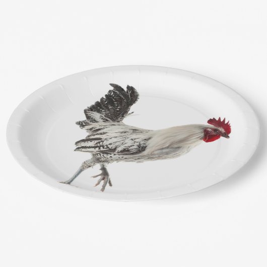 エジプト人のFayoumisのオンドリ ペーパープレート (アングル)