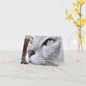 エジプト人Mau カード (黄色い花)