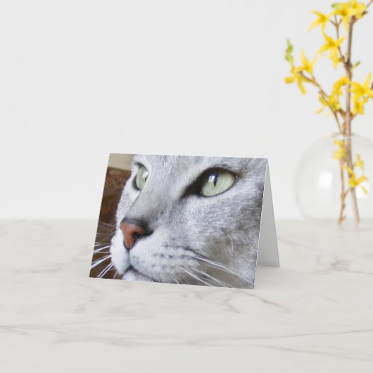 エジプト人Mau カード (黄色い花)