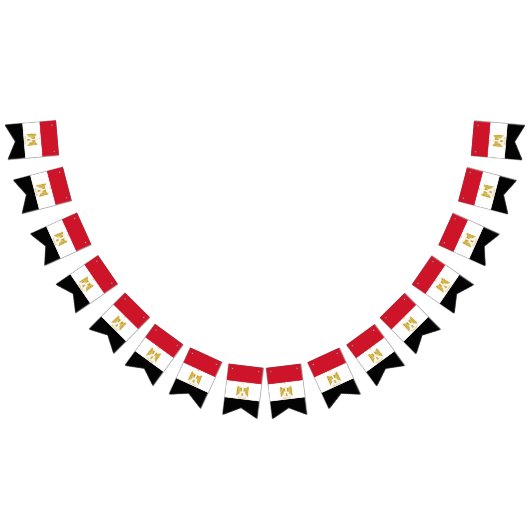 エジプト国旗の旗 バンティングフラッグ (全)