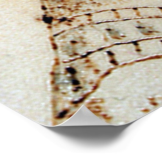 エジプト女王ネフェクト ポスター (角)