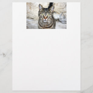 エジプト猫の頭文字