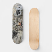 エジプト猫スケートボード スケートボード (正面)