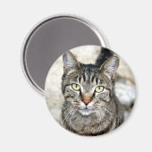 エジプト猫 マグネット (正面/裏面)