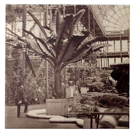 エジプト部屋、水晶Palaの熱帯植物 タイル (正面)