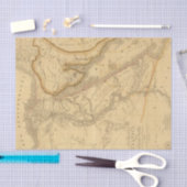 エジプト7 薄葉紙 (クラフト)