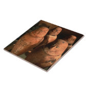 エジプト、アブで26世のカノピックジャールが見つかった タイル (側面)