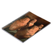 エジプト、アブで26世のカノピックジャールが見つかった ノートブック (左側)