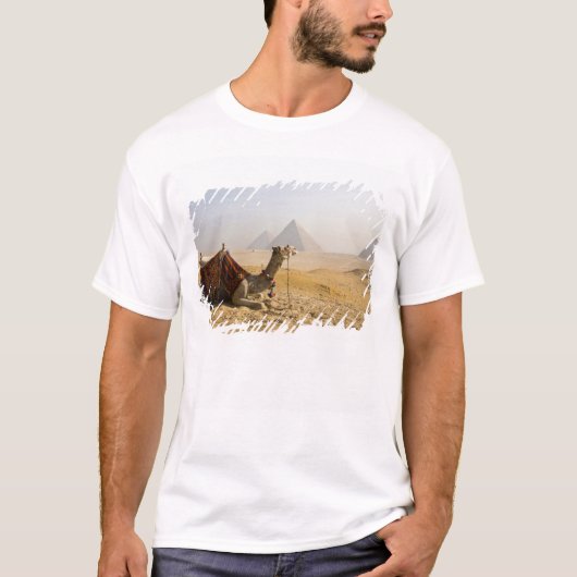 エジプト、カイロ。一頭のラクダ Tシャツ (正面)