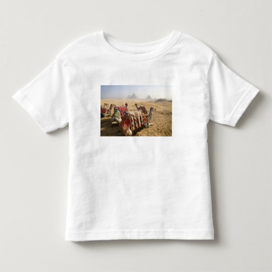 エジプト、カイロ。休息中のラクダ トドラーTシャツ (正面)