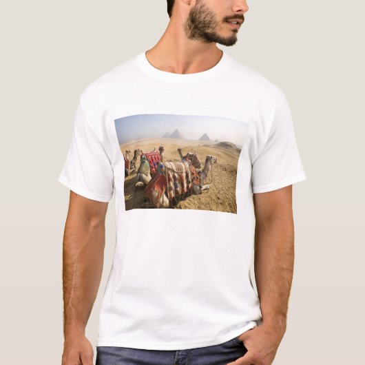 エジプト、カイロ。休息中のラクダ Tシャツ (正面)