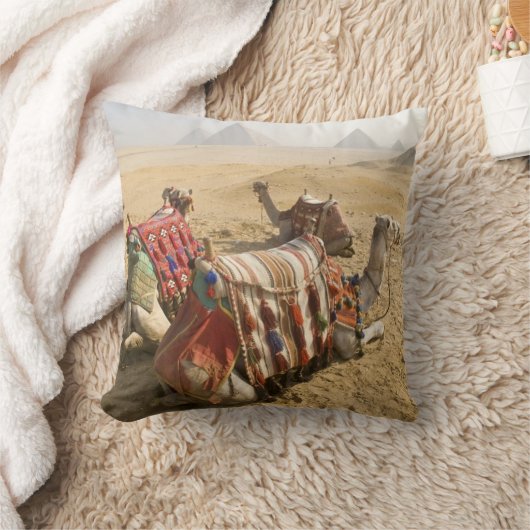 エジプト、カイロ。静止ラクダ クッション (ブランケット)