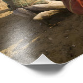 エジプト、カイロ。静止ラクダ フォトプリント            (角)