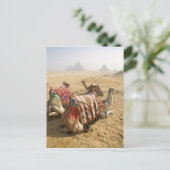 エジプト、カイロ。静止ラクダ ポストカード (スタンド正面)