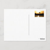 エジプト，シャルム・エル・シェイクの夕日 ポストカード (裏面)