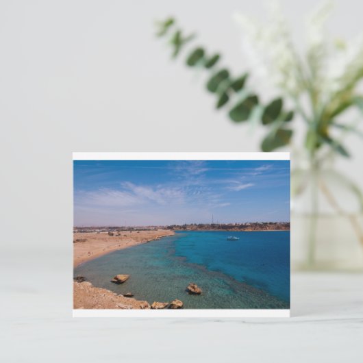 エジプト、シャルム・エル・シェイク紅海からの挨拶 ポストカード (スタンド正面)