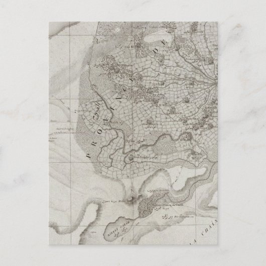 エジプト，フェーム ポストカード (正面)