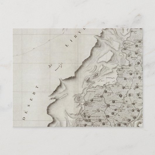 エジプト，フェーン ポストカード (正面)