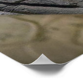 エジプト ポスター (角)