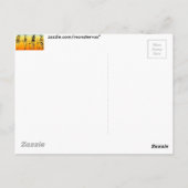 エジプト ポストカード (裏面)