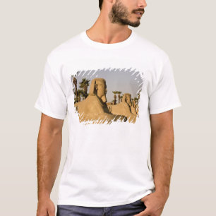 エジプト、ルクソール。スフィンクスの通りは Tシャツ