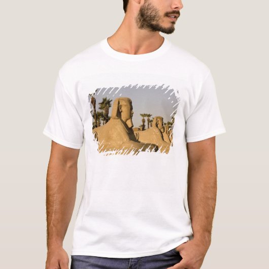 エジプト、ルクソール。スフィンクスの通りは Tシャツ (正面)