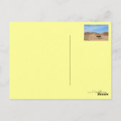 エジプト・南シナイの砂漠の木 ポストカード (裏面)