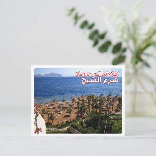エジプト – 紅海 – シャルム・エル・シェイク – ポストカード (スタンド正面)