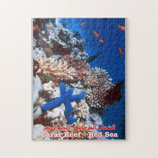 エジプト – 紅海 – バリアリーフ – ジグソーパズル (縦)