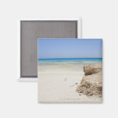 エジプト、紅海、マルサアラム、シャルム・エル・ルーリ、ビーチ マグネット (正面/裏面)