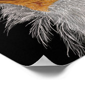 エジプ図解入りの、写真付きのトのハゲワシ ポスター (角)