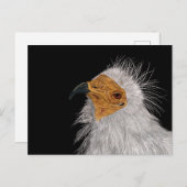 エジプ図解入りの、写真付きのトのハゲワシ ポストカード (正面/裏面)